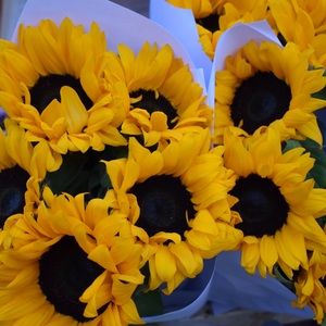 Meet your Posher, Maggie